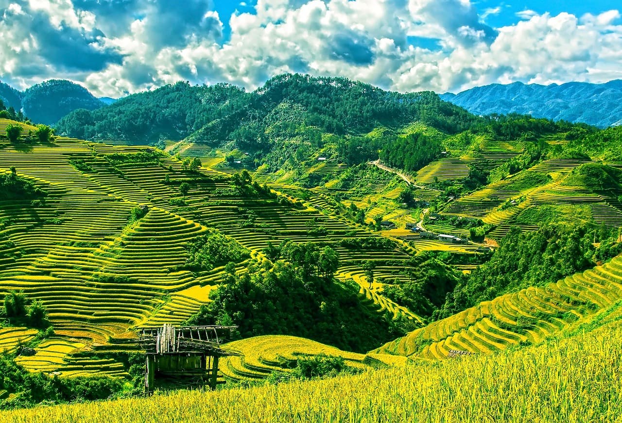 Vietnam nature