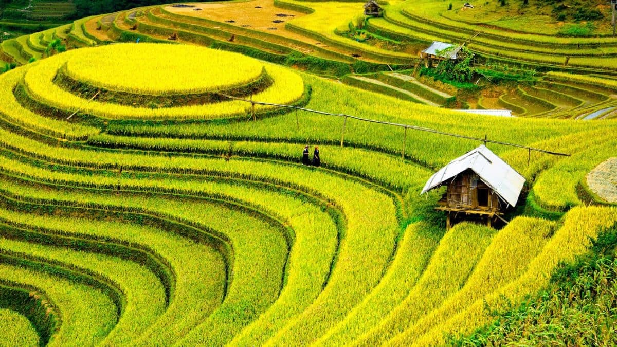 Vietnam landscape